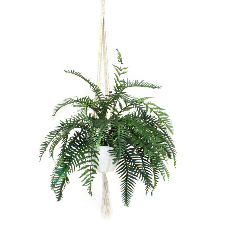 Dakota Fields 51'' Faux Fern Plant in Ceramic Planter Wayfair